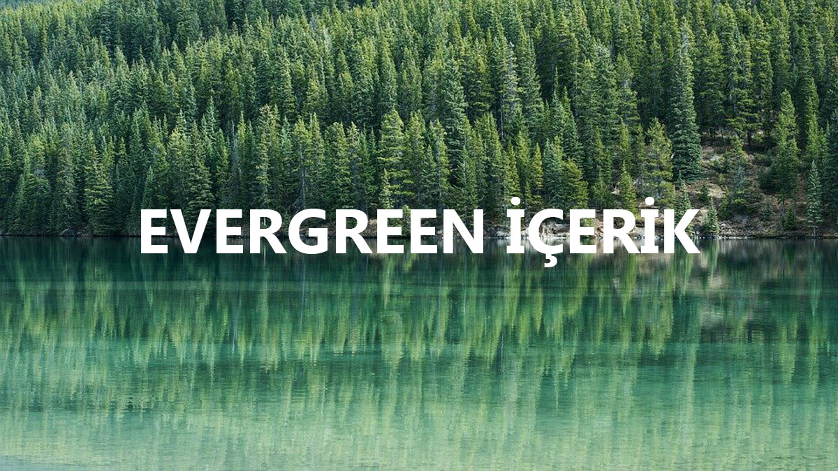 EVERGREEN YEŞİL İÇERİK NASIL OLUŞTURULUR?